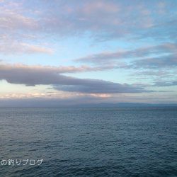 イワシ・タチウオ・チヌ、色々釣れました！