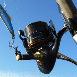 ちょこっとサゴシゲーム♪。