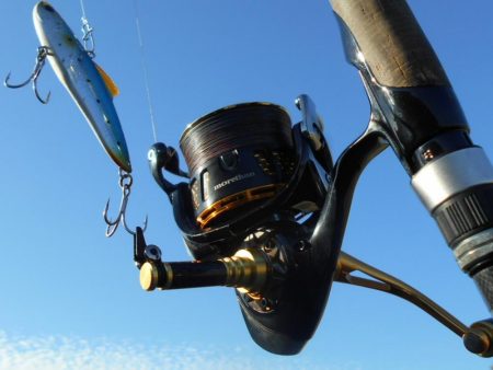 ちょこっとサゴシゲーム♪。