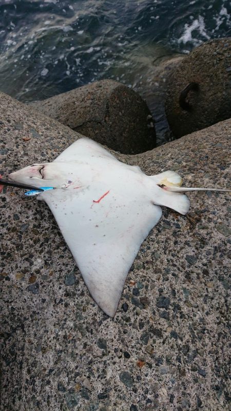 予想外の大物が…