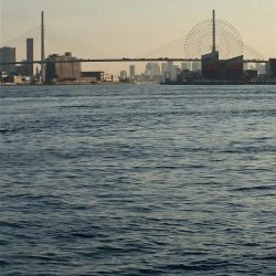 タチウオ今日から大潮