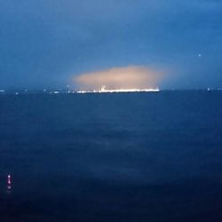 久々に貝塚遠征にてタチウオ釣行