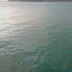 久々に来たぁ~!