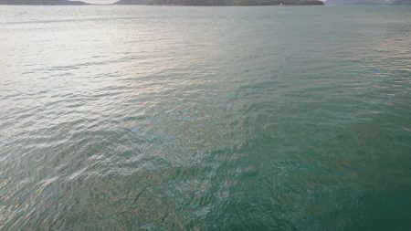 久々に来たぁ~!