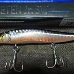 明るいうちにシーバスキャッチ!