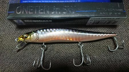 明るいうちにシーバスキャッチ!