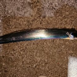 一人時合いモード！？