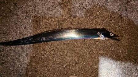 一人時合いモード！？