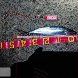 サゴシ祭りじゃ