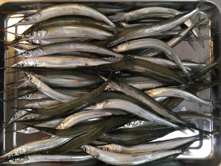 武庫川尻でサーフトローリング＆サヨリ釣り