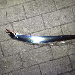 大阪南港・シーサイドコスモでタチウオ釣り