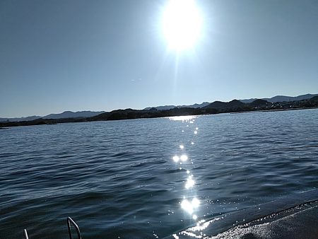 これからが、アオリイカ楽しみです(#^^#)