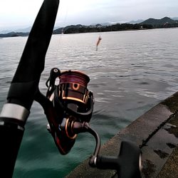 台風後の一杯です!!