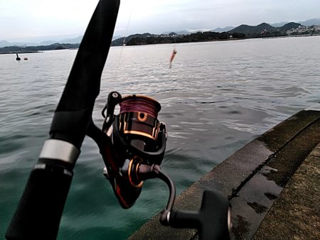 台風後の一杯です!!