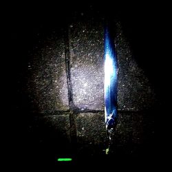 太刀魚4本上がりました!!