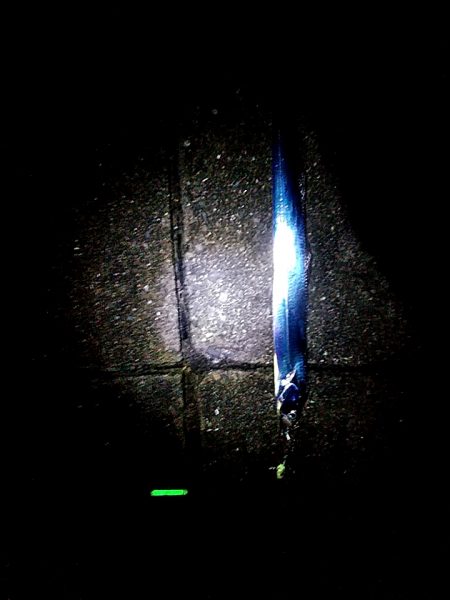 太刀魚4本上がりました!!