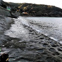 アオリが駄目でしたが、シオが上がりました!!