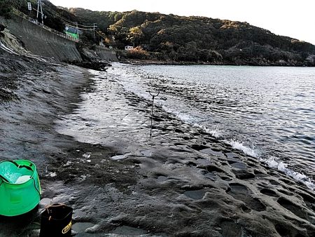 アオリが駄目でしたが、シオが上がりました!!