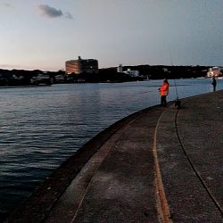 何とか一本太刀魚上がりました!!