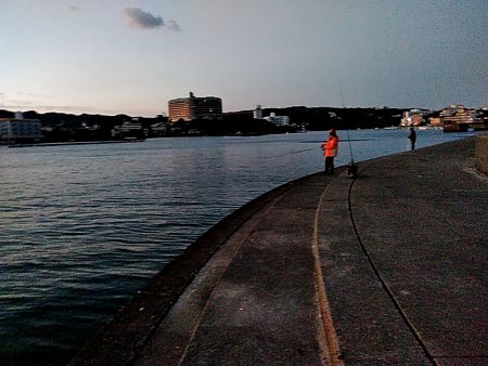 何とか一本太刀魚上がりました!!