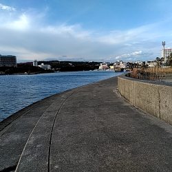 太刀魚1本上がりました！！