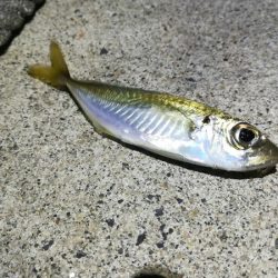 ちがうだろーちがうだろーー！！