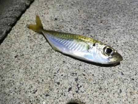 ちがうだろーちがうだろーー！！