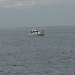 台風前に、なんとかヒラマサゲット