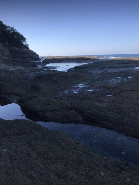 北東爆風の中で秋イカエギング