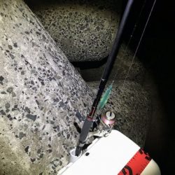 豆アジからの・・・