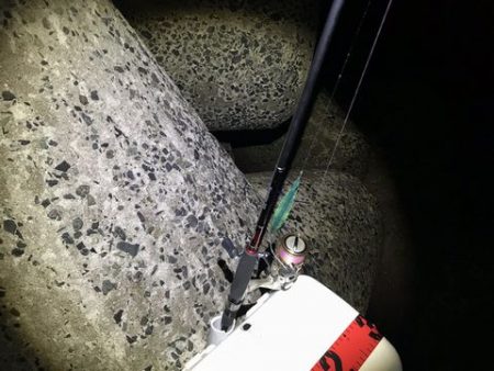 豆アジからの・・・