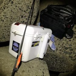 なんとか・・・・