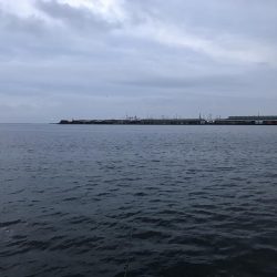 今日は、ダラダラと。