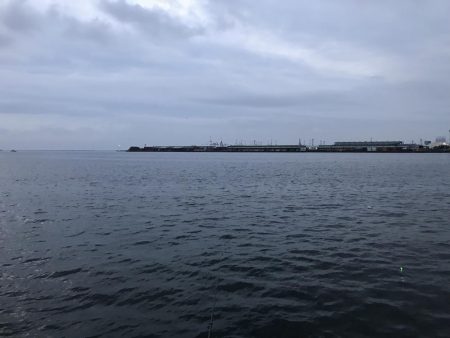 今日は、ダラダラと。