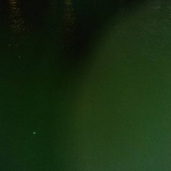 時合い短く渋め