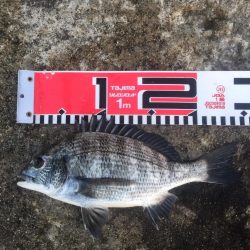 今週の釣果報告！10月20日（土）