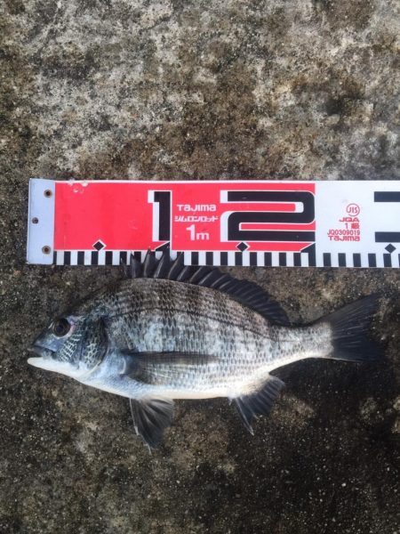 今週の釣果報告！10月20日（土）