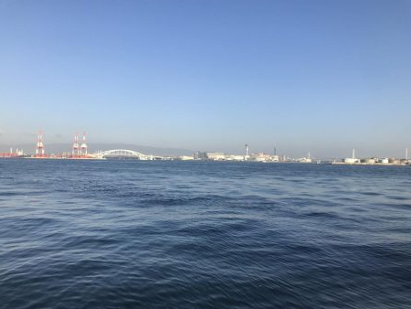 朝タチウオ(^_^)