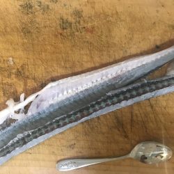 ショアジギング