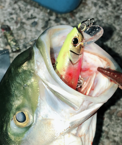 夕まずめブルー