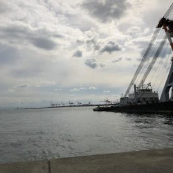 メジロ！シーバス！タチウオ！