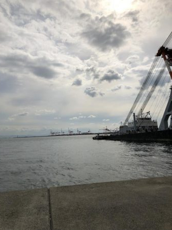 メジロ！シーバス！タチウオ！