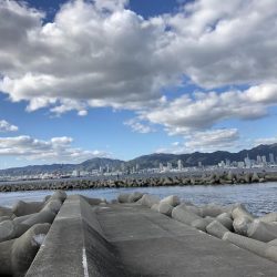 メジロ釣りたい