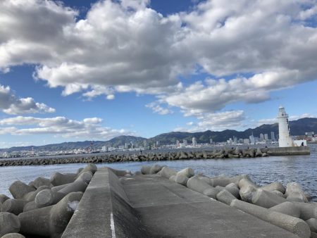 メジロ釣りたい