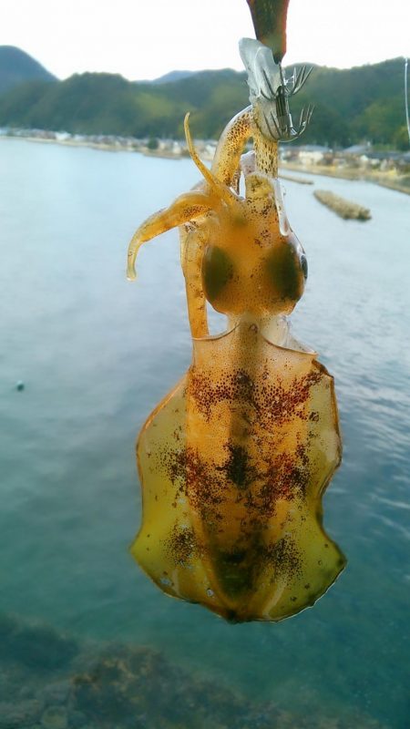 強行しました！