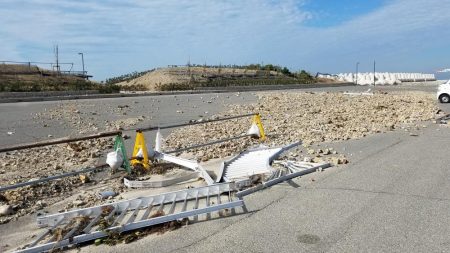 南知多エギング！