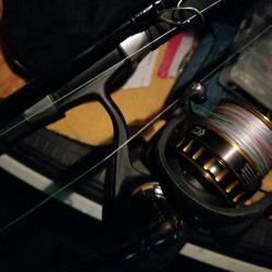 ランカーサイズ!