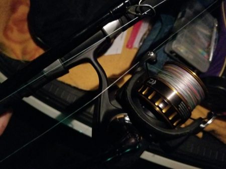 ランカーサイズ!