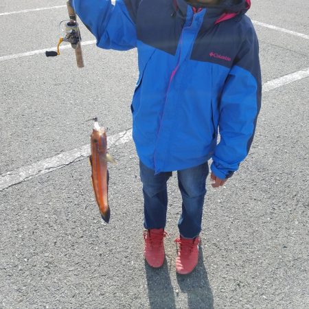 しっぶーい釣果