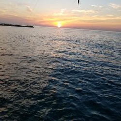 サイトエギングおもろいやん‼